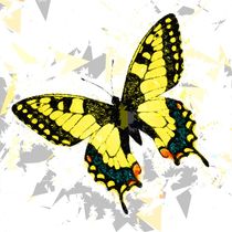 Butterfly 326 von David Dehner