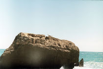 Seagull on a huge rock by Anton Kudriashov