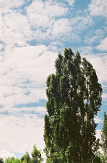 Summer sky by Anton Kudriashov