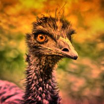 Fantasy Emu 4 von kattobello