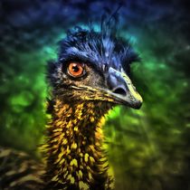 Fantasy Emu 3 by kattobello