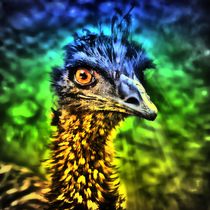 Fantasy Emu 2 by kattobello
