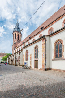 Landau-Evangelische Stiftskirche 24 by Erhard Hess