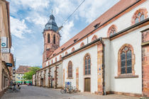 Landau-Evangelische Stiftskirche 25 by Erhard Hess