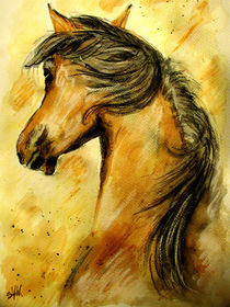 Back View Horse by Sandra  Vollmann