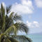 Palm-sea-island