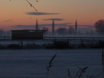 Winter:Stall auf dem Feld von mlurow