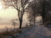 Winter: Feldweg von mlurow