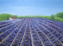 Lavendelfeld in der Toskana  von markgraefe