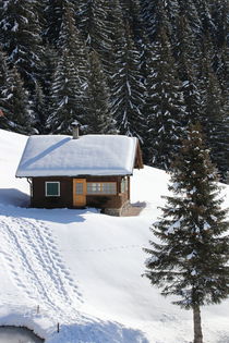 Berghütte by stephiii