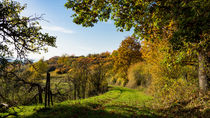 Grüner Feldweg im Herbst by Ronald Nickel