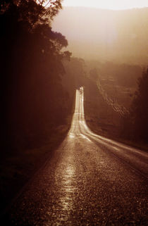 Country Road von David Halperin