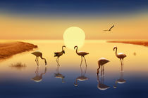 Flamingos vor der Abendsonne von Monika Juengling