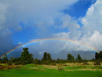 Rainbow in New Zealand by nadini