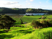 Grüne Landschaft in Neuseeland von nadini
