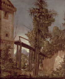 Landscape with a Footbridge von Albrecht Altdorfer