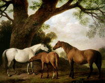 Two Shafto Mares and a Foal von George Stubbs