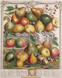 January, from 'Twelve Months of Fruits' by Pieter Casteels