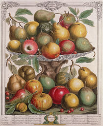 February, from 'Twelve Months of Fruits' von Pieter Casteels