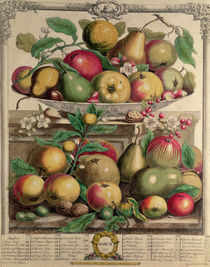 March, from 'Twelve Months of Fruits' von Pieter Casteels