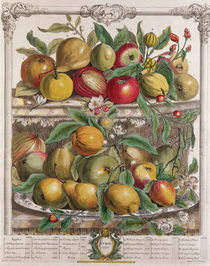 April, from 'Twelve Months of Fruits' von Pieter Casteels