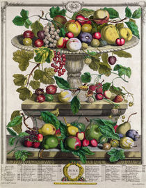 June, from 'Twelve Months of Fruits' by Pieter Casteels