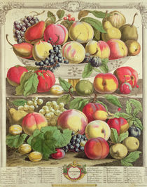 September, from 'Twelve Months of Fruits' von Pieter Casteels