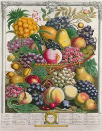 October, from 'Twelve Months of Fruits' von Pieter Casteels