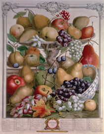 November, from 'Twelve Months of Fruits' by Pieter Casteels