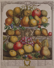 December, from 'Twelve Months of Fruits' von Pieter Casteels