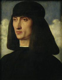 Portrait of a Young Man, c.1500 von Giovanni Bellini