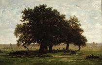 Holm Oaks, Apremont, 1850-52 by Pierre Etienne Theodore Rousseau