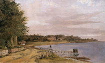 River Bank at Emilliekilde by Christen Schjellerup Kobke
