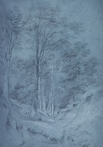 Study of ash and other trees by John Constable