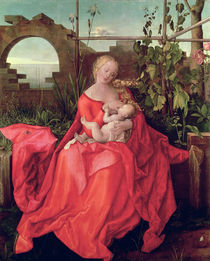 Virgin and Child 'Madonna with the Iris' by Albrecht Dürer