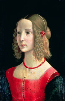 Portrait of a Girl, c.1490 von Domenico Ghirlandaio