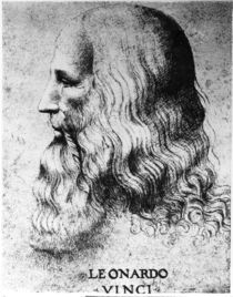 Portrait of Leonardo da Vinci von Italian School