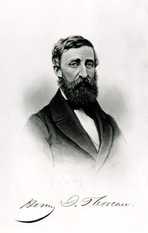 Henry David Thoreau von English School