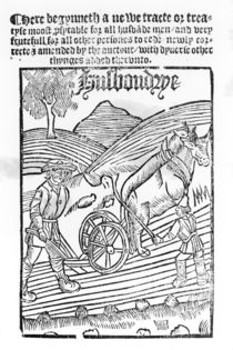 Man Ploughing a Field by English School