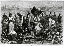 Slaves Picking Cotton on a Plantation von William Ludlow Sheppard