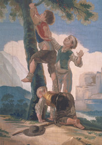 Boys Climbing a Tree von Francisco Jose de Goya y Lucientes