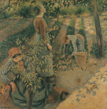 The Apple Pickers, 1886 by Camille Pissarro