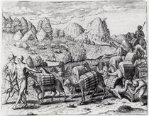 Pack Train of Llamas Laden with Silver from Potosi Mines of Peru by Jacques Le Moyne