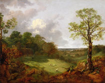 Wooded Landscape with a Cottage von Thomas Gainsborough