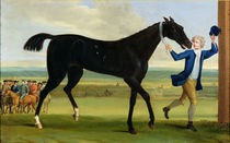 The Duke of Rutland's 'Bonny Black' von John Wootton
