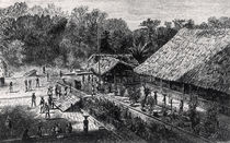Workers on a Coffee Plantation von F.M. Reynolds