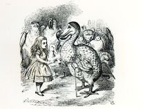Alice meets the Dodo, illustration from 'Alice's Adventures in Wonderland' by John Tenniel
