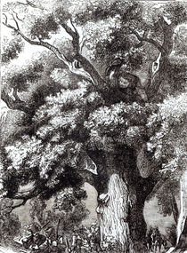 Charles II Hidden in the Oak Tree by English School