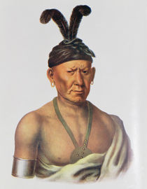 Wakechai or 'Crouching Eagle' by Charles Bird King