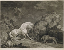 A Horse Affrighted by a Lion by George Stubbs